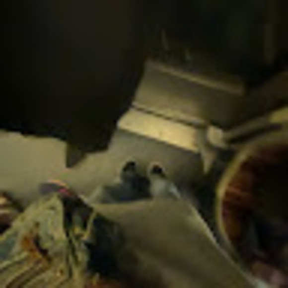 mindyross276